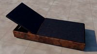 Leather deck chair