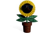 Cool Sun Flower