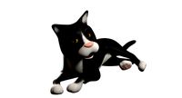 3D Cartoon Rigged Cat