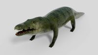 3D Crocodile Model