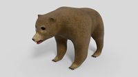 3D Bear Model