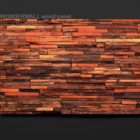Wonderwall panel