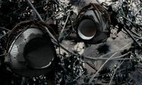 nest - Lenut