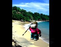 hippo - tripper