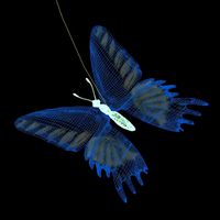 flying butterfly