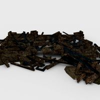 Ruin wood
