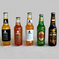 Realistic Bottled Beer Collection