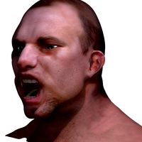Man Head Rigged