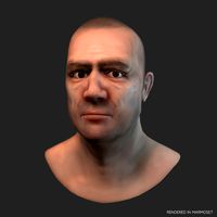 Male Head - The Fighter