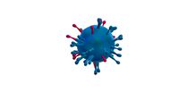 Influenza Virus