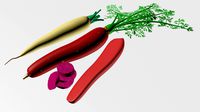 Carrot-002