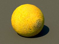 melon type