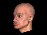 Head