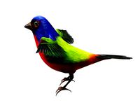 Bunting Bird