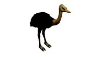 OSTRICH