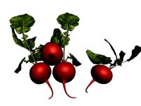 beet greens