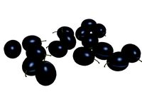 Black Grape