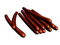 Hotdog