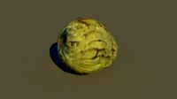 Cherimoya custard apple
