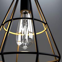 Pendant Cage Lamp with Vintage Bulb