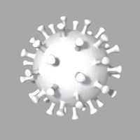 Corona Virus white model for background
