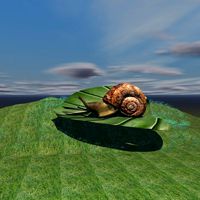 SNAIL ON LEAF SCENE