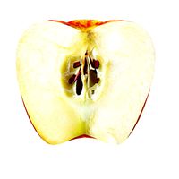 Half Apple