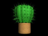 cactus barrel.max