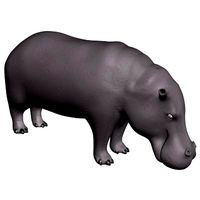 Hippo