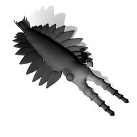 Cambrian animals