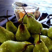 Honey and pears