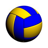 Volleyball