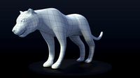 Panther