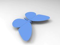 Butter Fly
