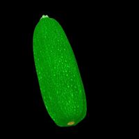 Zucchini - vegetable