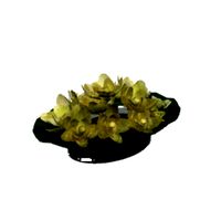 Mydeco Collection 75 PLANTS