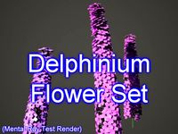 Delphinium Set 001
