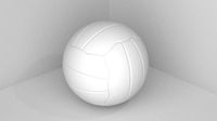 Volley Ball