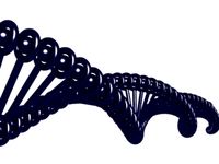 Metallic DNA model
