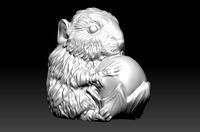Hamster with physalis