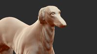 Hound