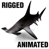 hammerhead shark