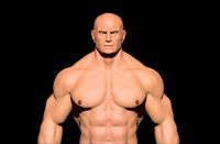 anatomy bodybuildere 11