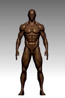 BASE MESH