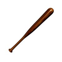 Baseball Bat