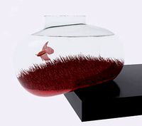 fishbowl