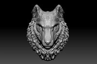 Wolf's head