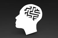 Head Puzzle