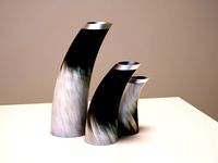 Horn vases
