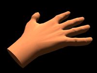 Human Hand